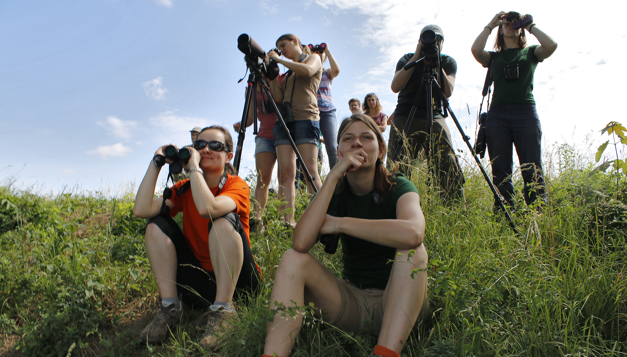 Wetlands International : comptage des oiseaux d'eau hivernants sur les bassins de Saint-Vit et Osselle